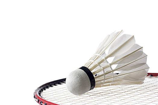 的领先地位 的领先地位